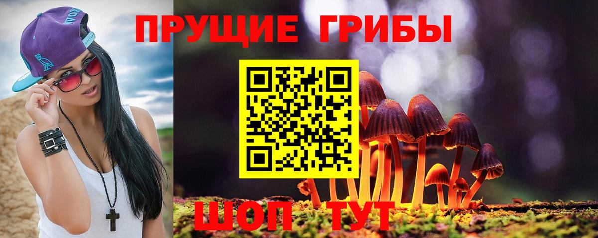 Галлюциногенные грибы GOLDEN TEACHER Кропоткин
