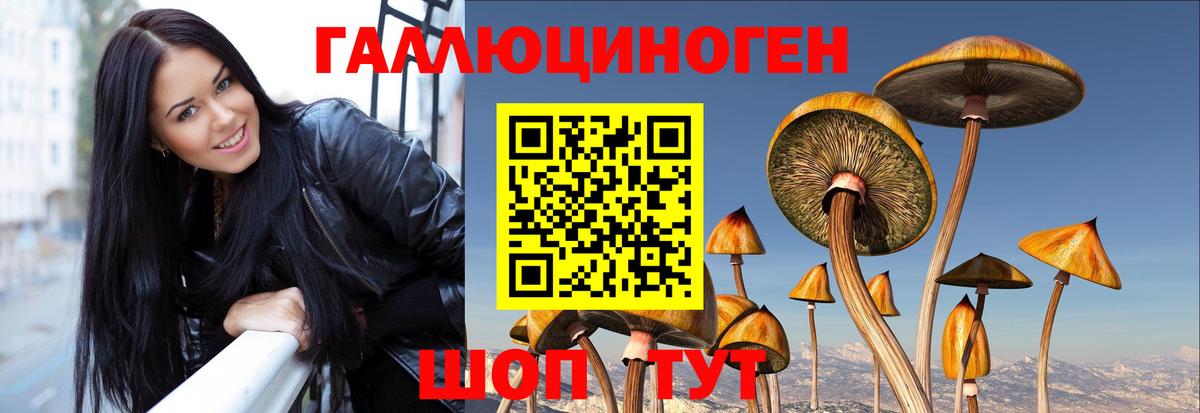Галлюциногенные грибы мицелий  Вход с VPN  Кропоткин  Галлюциногенные грибы Psilocybine cubensis 